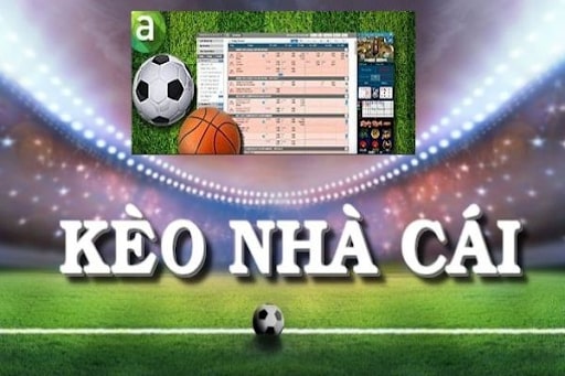 Căn cứ vào sở trường của bản thân để chọn kèo nhà cái phù hợp nhất