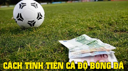 Có rất nhiều cách tính tiền cá độ bóng đá được áp dụng hiện nay
