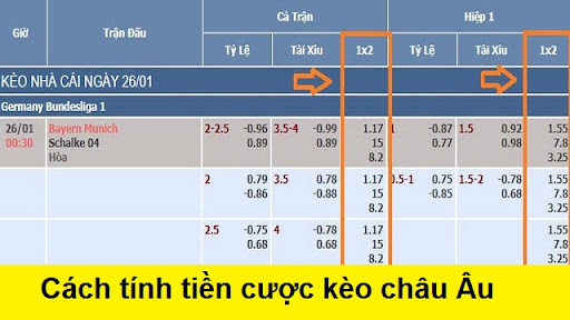 Tính tiền cược kèo Châu Âu chỉ có 2 kết quả thắng ăn tiền và thua mất sạch tiền
