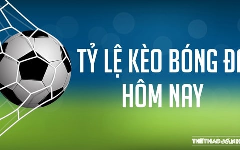 Dự theo chu kỳ của đội bóng