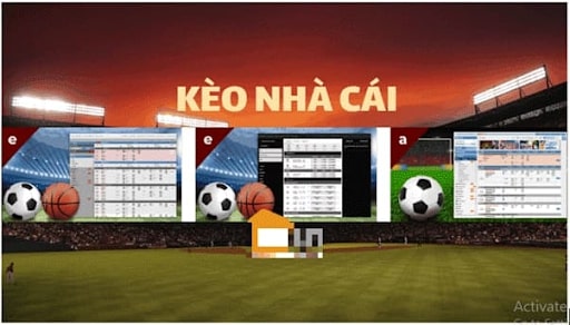 Cá cược nhà cái có rất nhiều loại kèo cho bạn lựa chọn