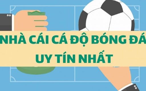 Tiêu chí giúp bạn đánh giá nhà cái cá cược uy tín.