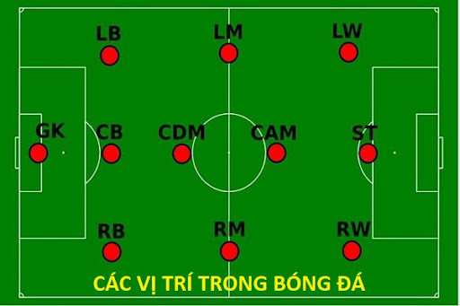 Sơ lược các vị trí trong bóng đá có vai trò và nhiệm vụ khác nhau