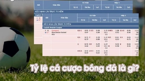 Tỷ lệ cá cược bóng đá là yếu tố quan trọng giúp tính tiền cá độ