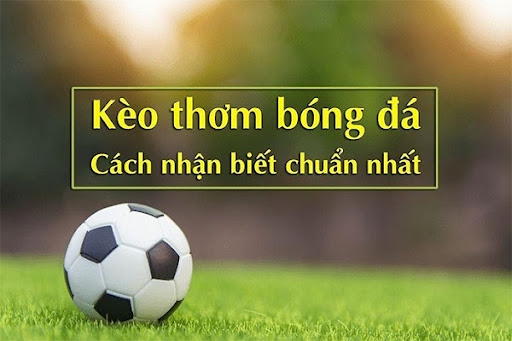 Nhận biết kèo thơm bóng đá hôm nay qua các giải đấu