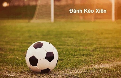 Bạn nên cược xiên ở những trận cầu có tỷ lệ thắng cao