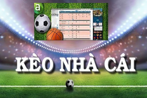 Lựa chọn nhà cái cá cược uy tín