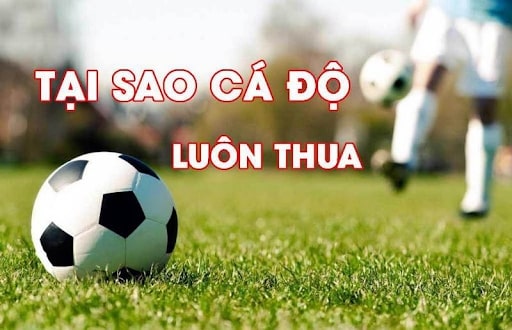 Những lý do khiến bạn cá độ bóng đá mãi thua