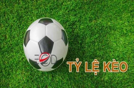 Những tỷ lệ kèo bóng đá mà bạn thường xuyên đặt cược nhất.