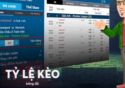 Những thông tin vạn cần nắm rõ khi xem tỷ lệ kèo nhà cái.