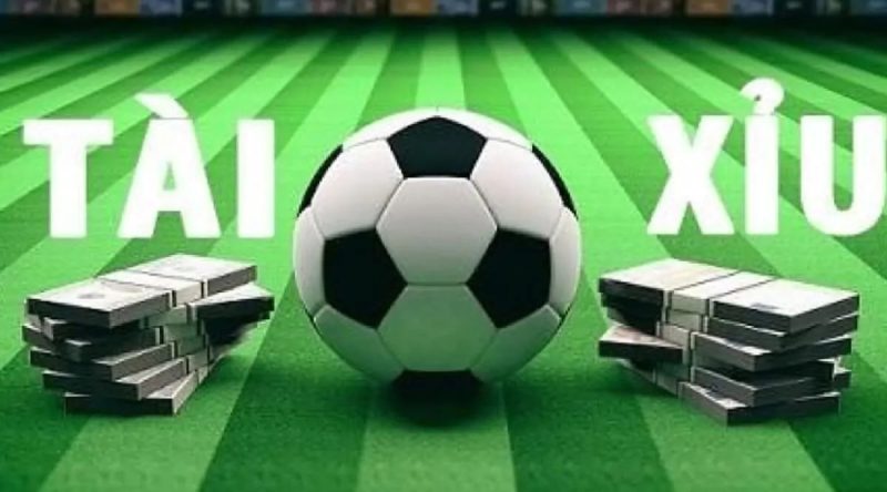 đặt cược tài xỉu