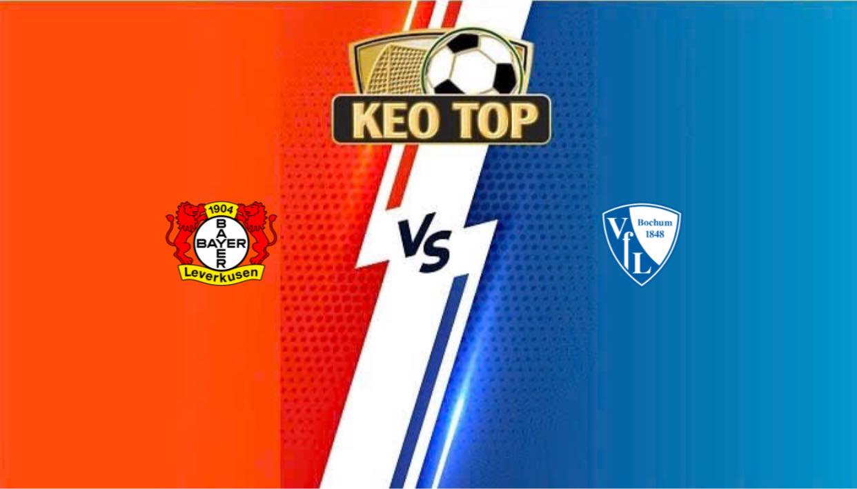 Bayer Leverkusen vs Bochum – Soi kèo bóng đá lúc 02h30 ngày 29/03/2025: VĐQG Đức